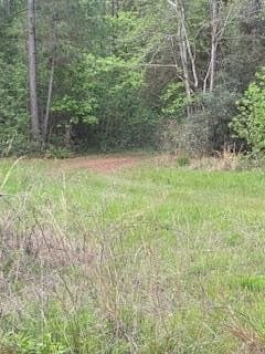19.72 acres in Texas County - photo 4