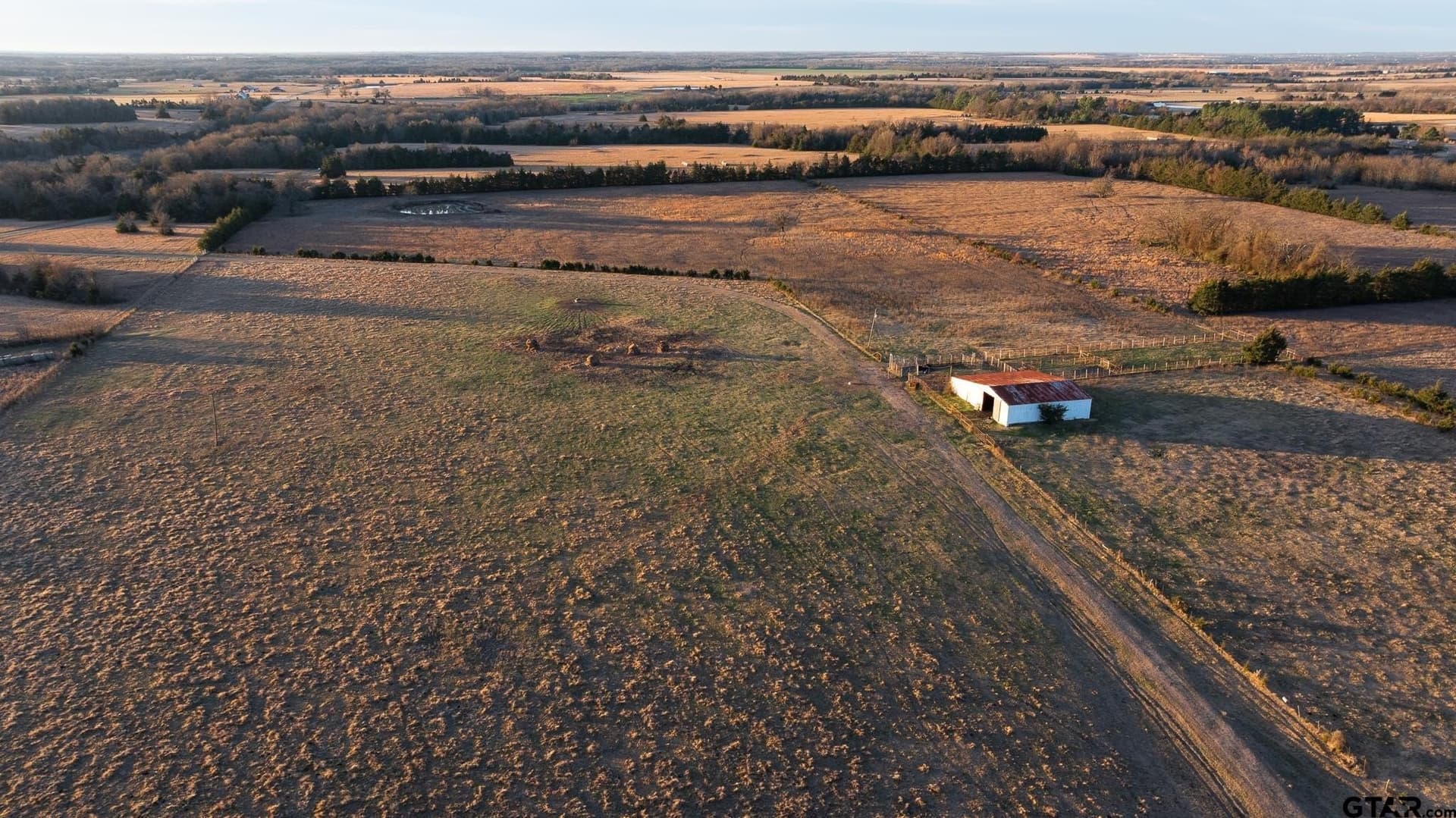 288 acres in Lamar County gallery image 4