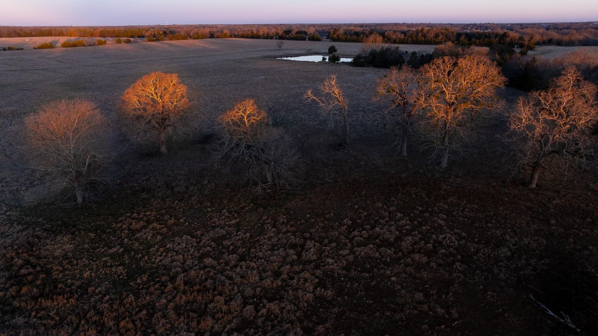 288 acres in Lamar County gallery image 2