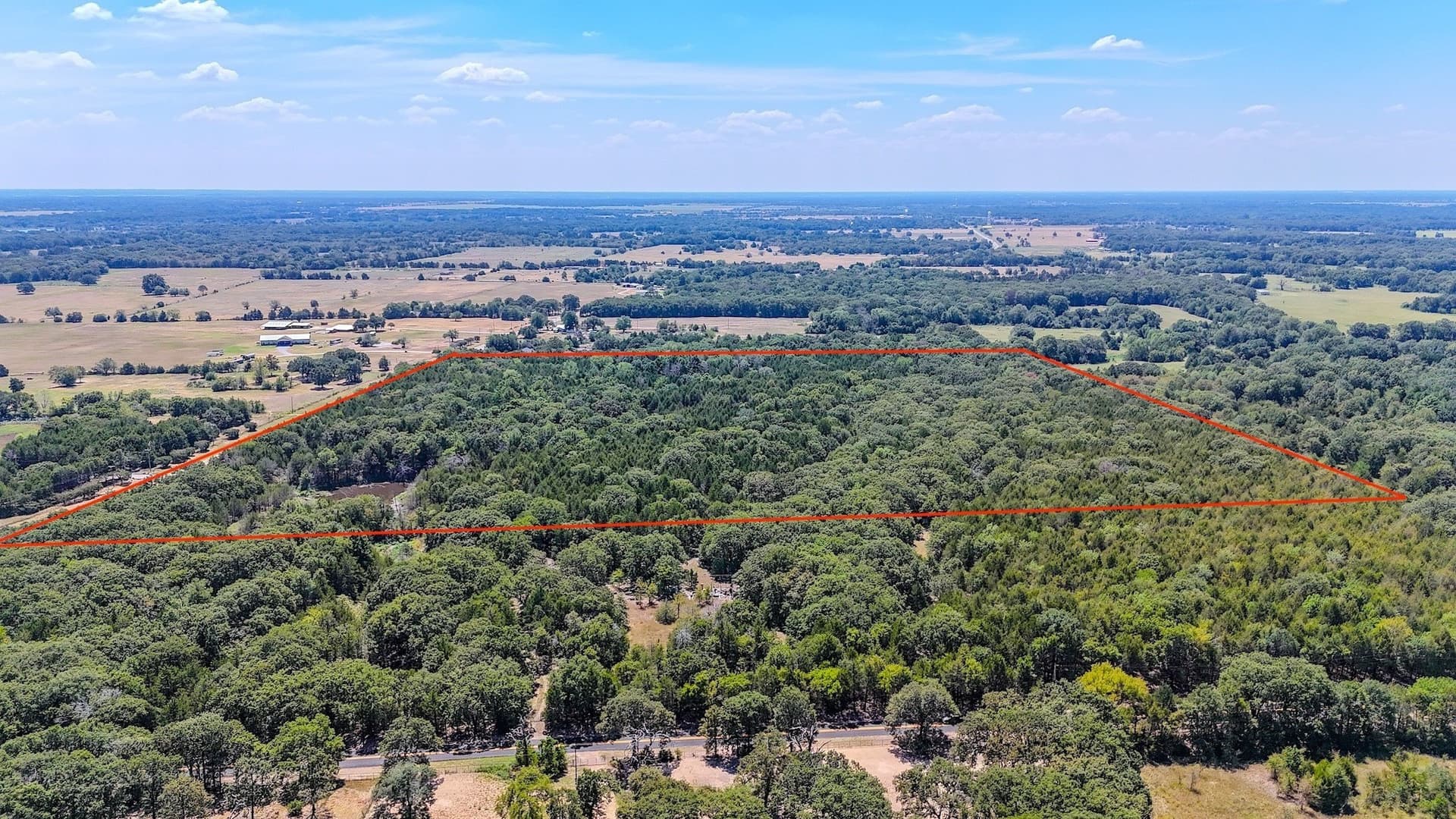 37.35 acres in Fannin County gallery image 2