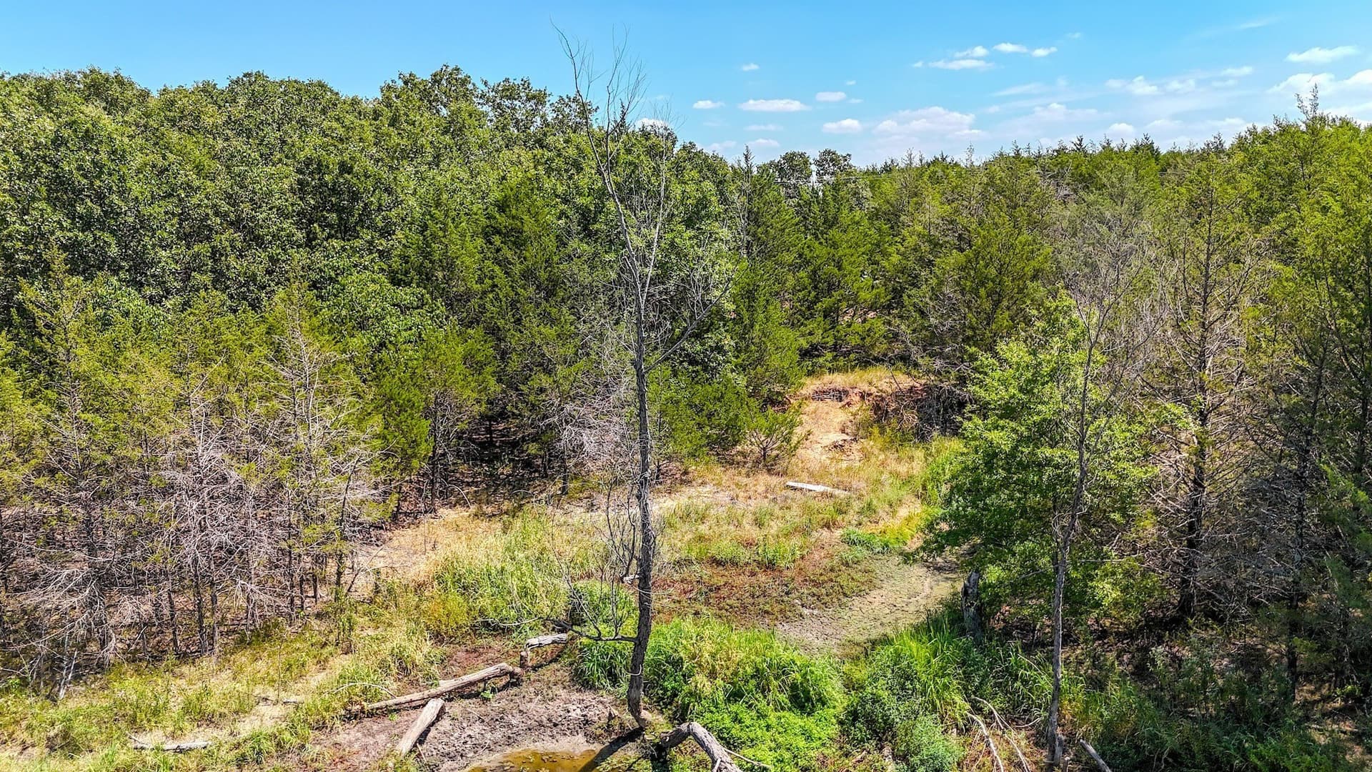 37.35 acres in Fannin County - photo 22