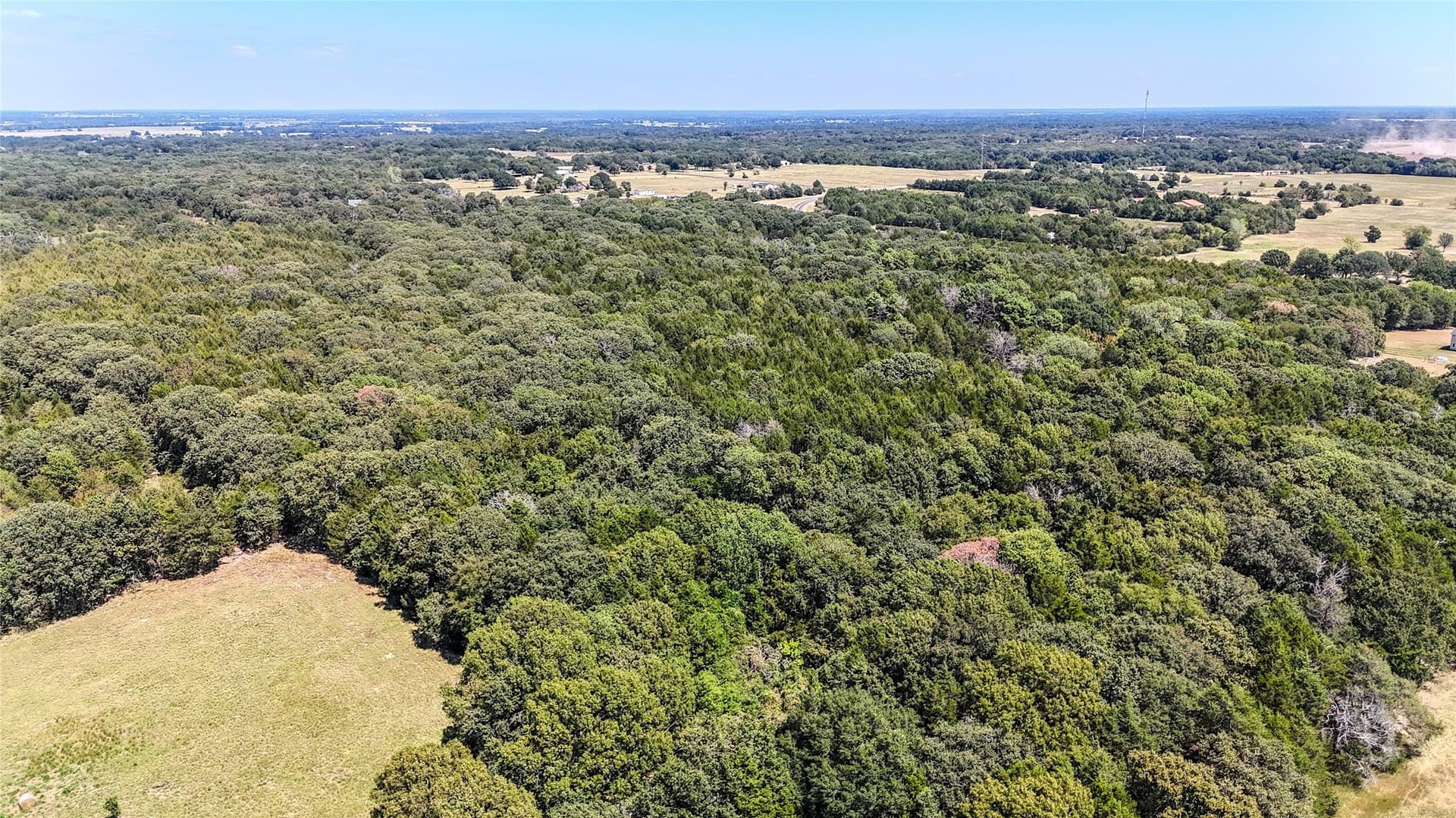 37.35 acres in Fannin County - photo 19