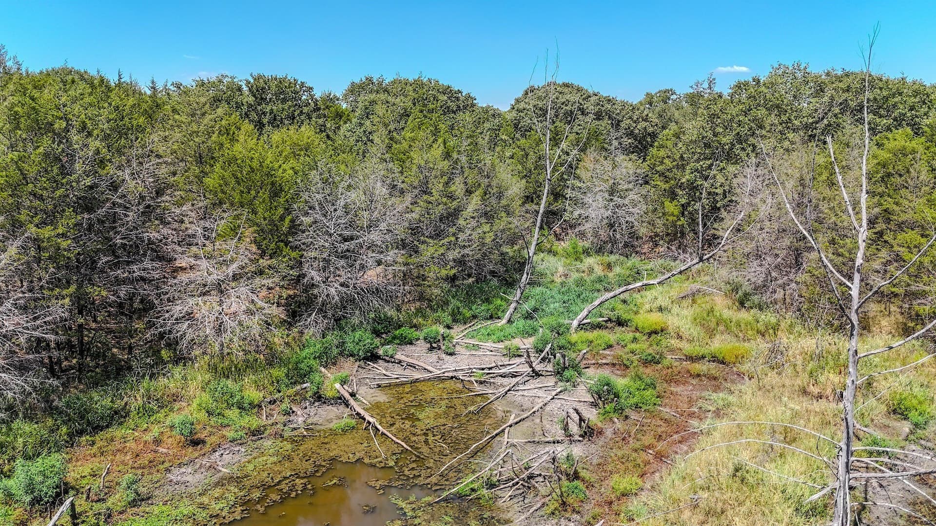 37.35 acres in Fannin County - photo 21