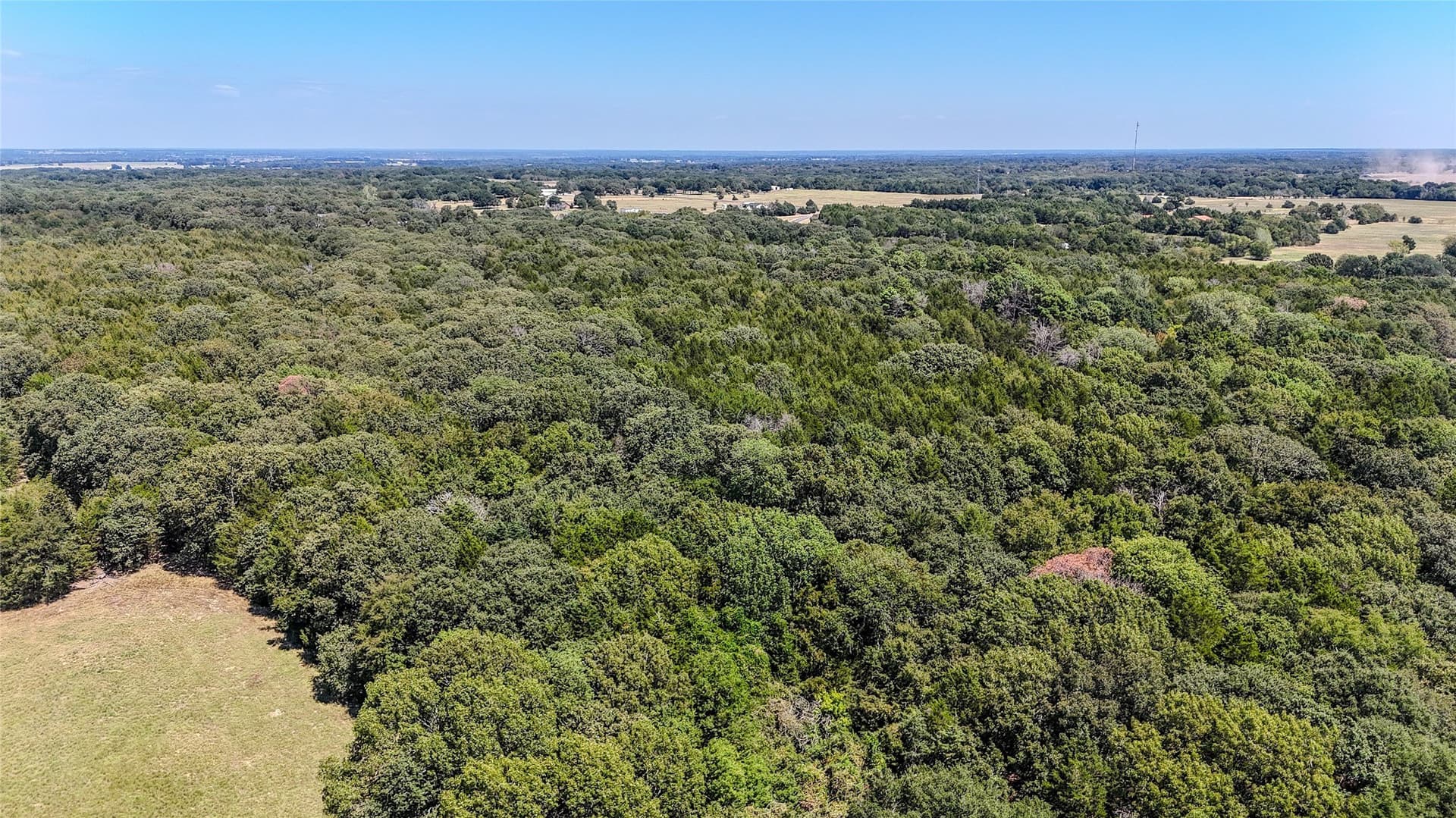 37.35 acres in Fannin County - photo 20