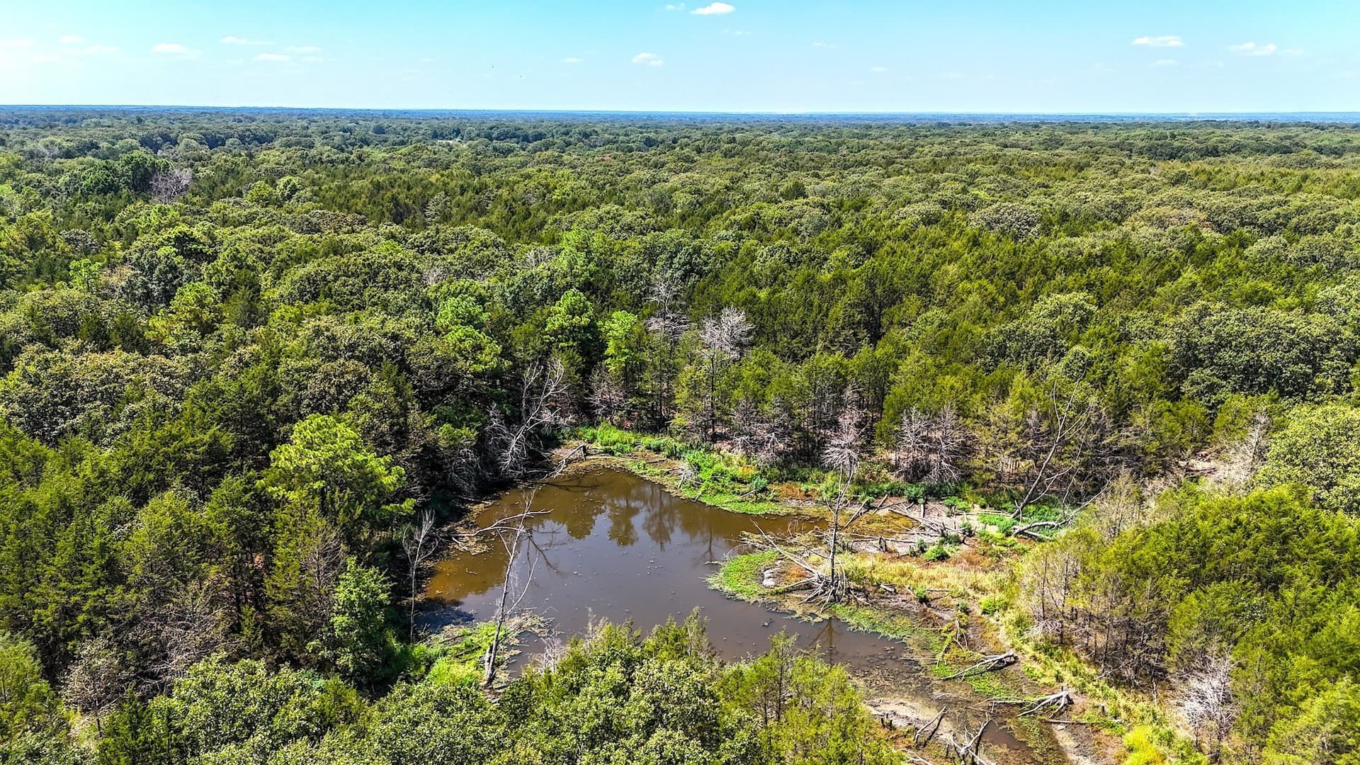 37.35 acres in Fannin County - photo 16