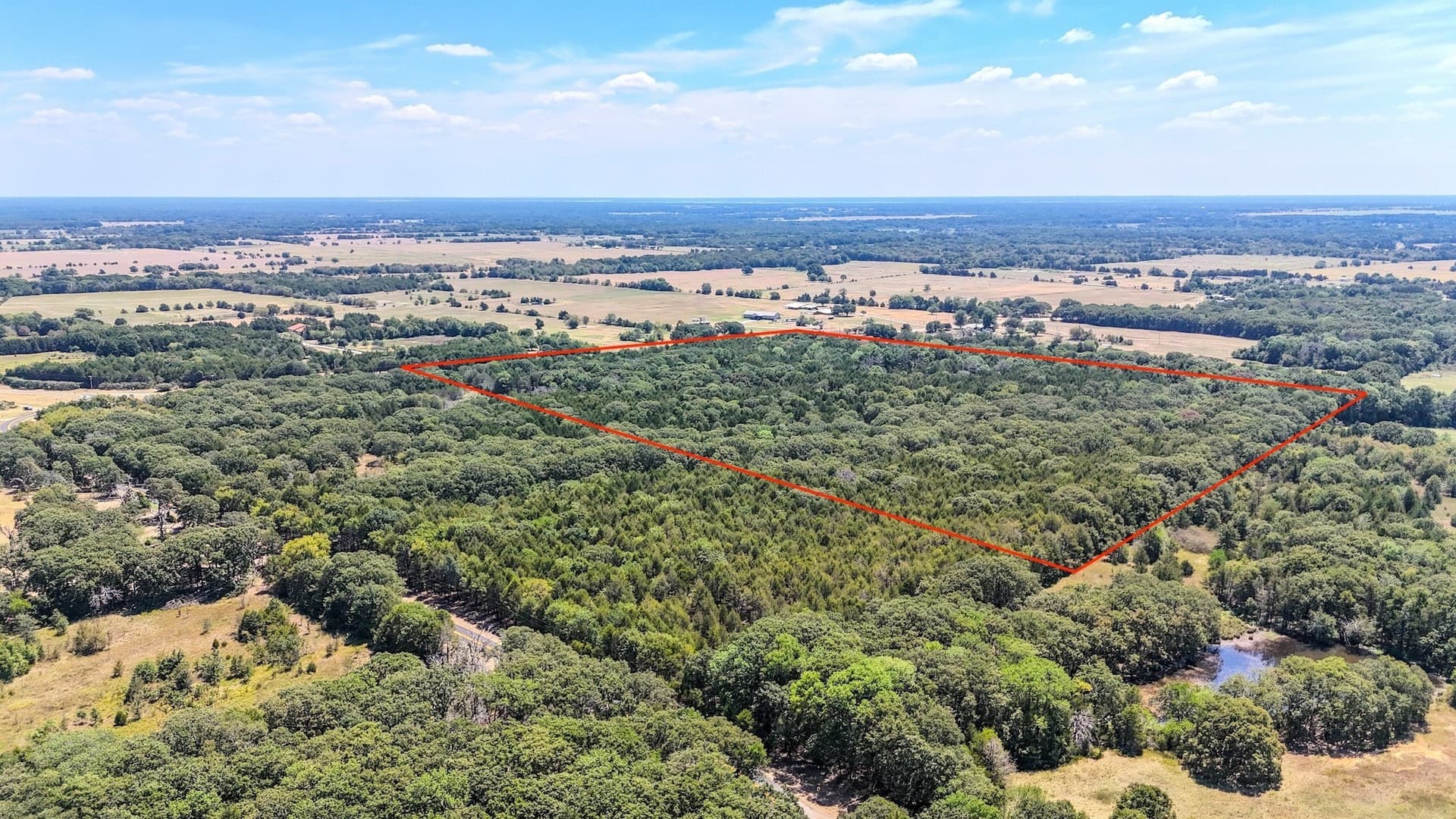 37.35 acres in Fannin County gallery image 4