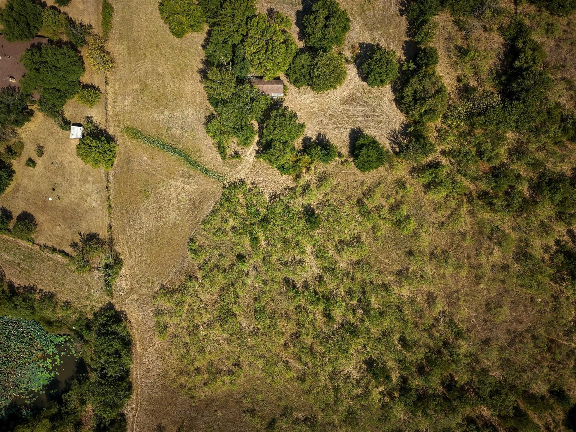 10 acres in Ellis County - photo 23