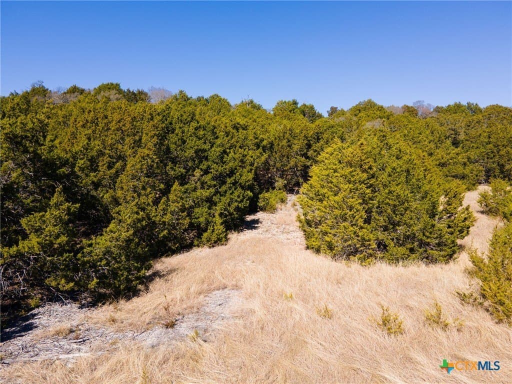10.11 acres in Lampasas County - photo 11