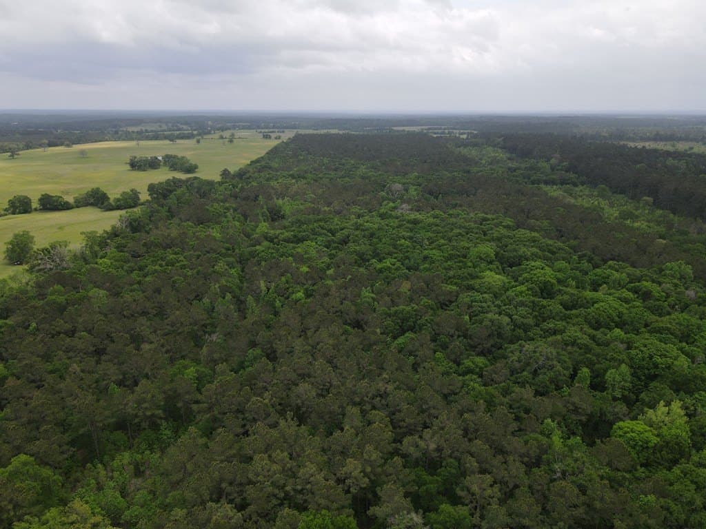161.49 acres in Texas County - photo 18