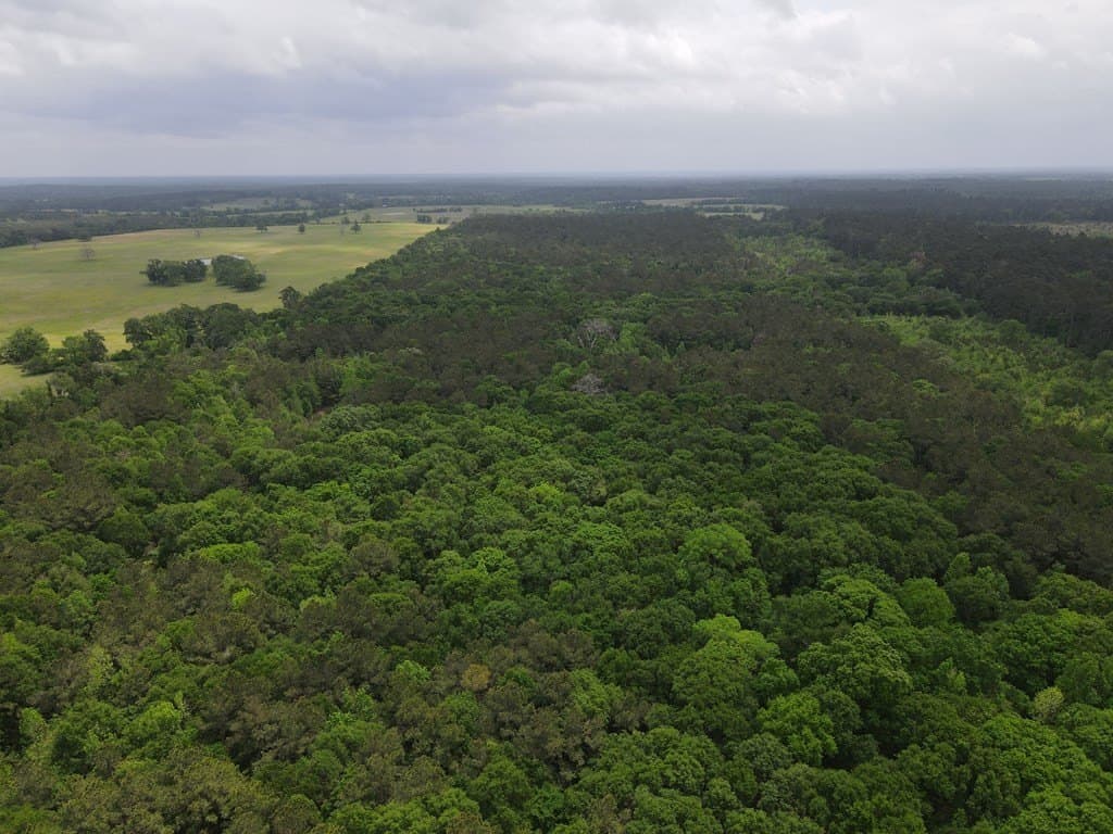161.49 acres in Texas County - photo 6