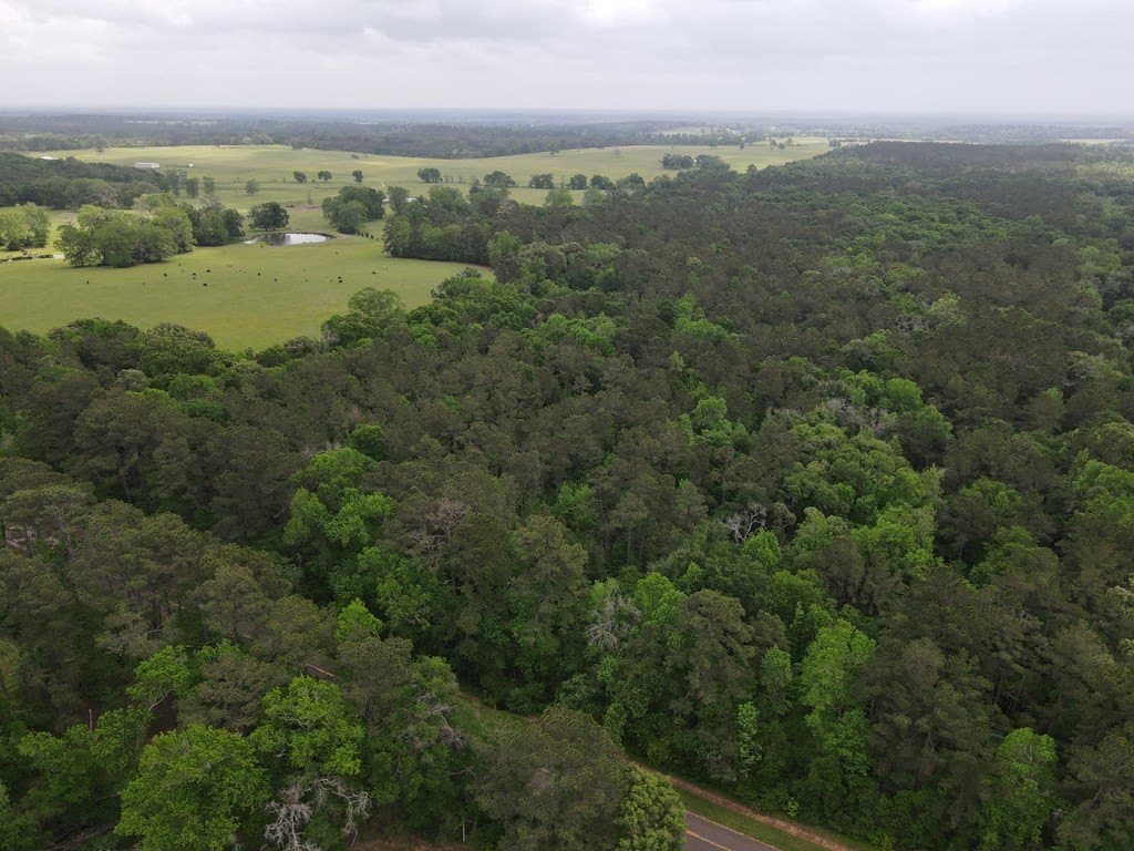 161.49 acres in Texas County - photo 15