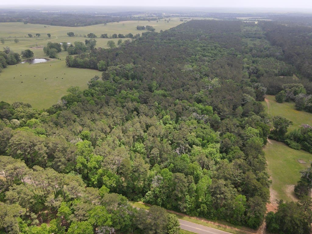 161.49 acres in Texas County gallery image 2