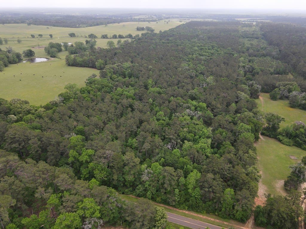 161.49 acres in Texas County gallery image 4