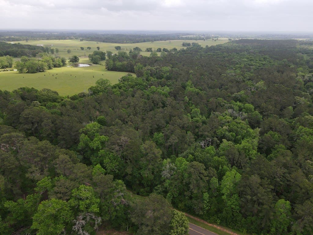 161.49 acres in Texas County - photo 14