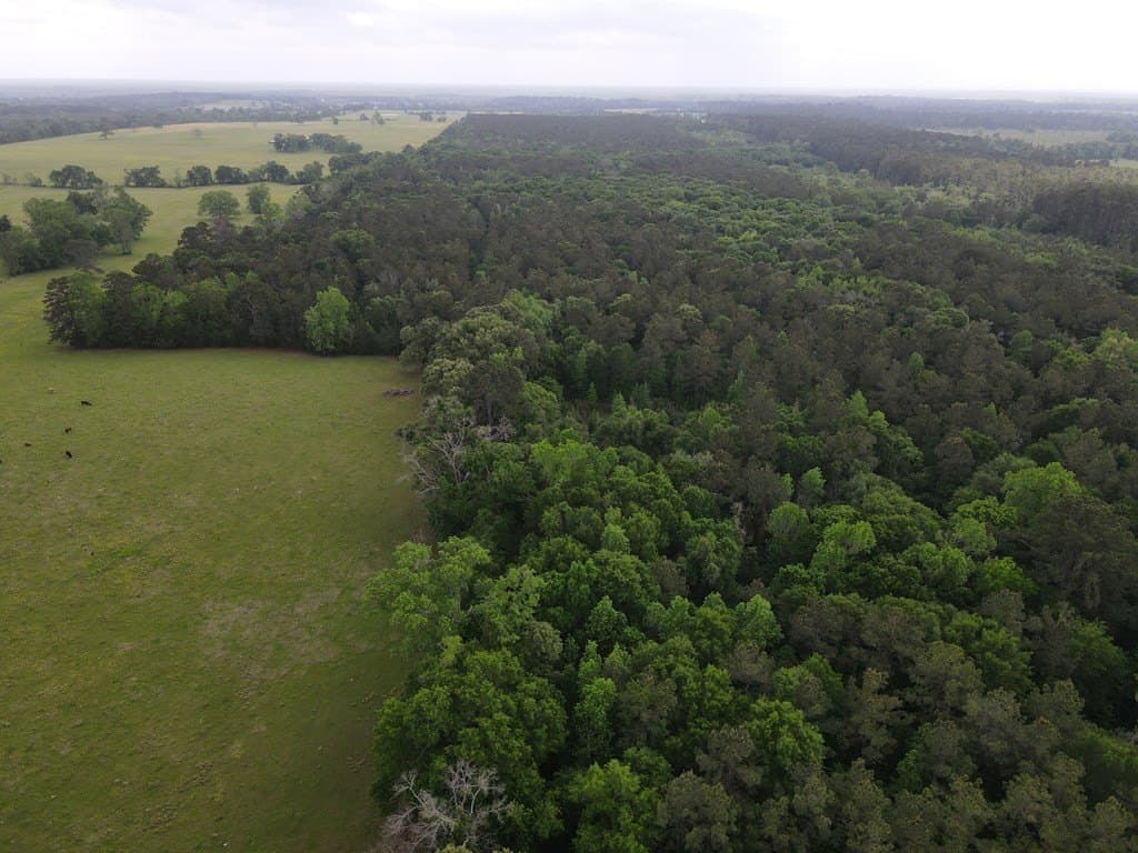 161.49 acres in Texas County - photo 7
