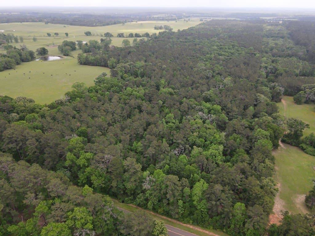 161.49 acres in Texas County - photo 11