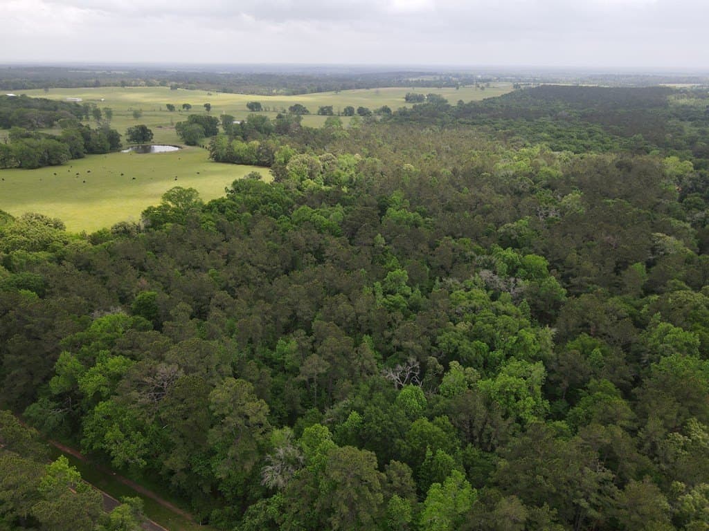 161.49 acres in Texas County - photo 12