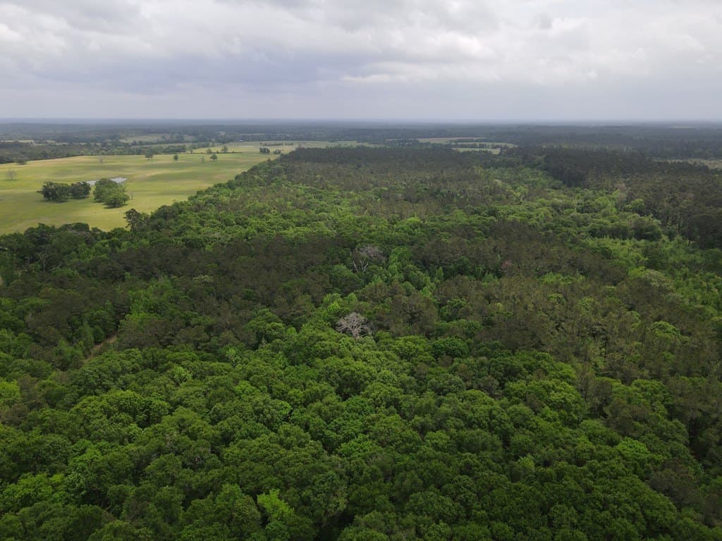 161.49 acres in Texas County - photo 17