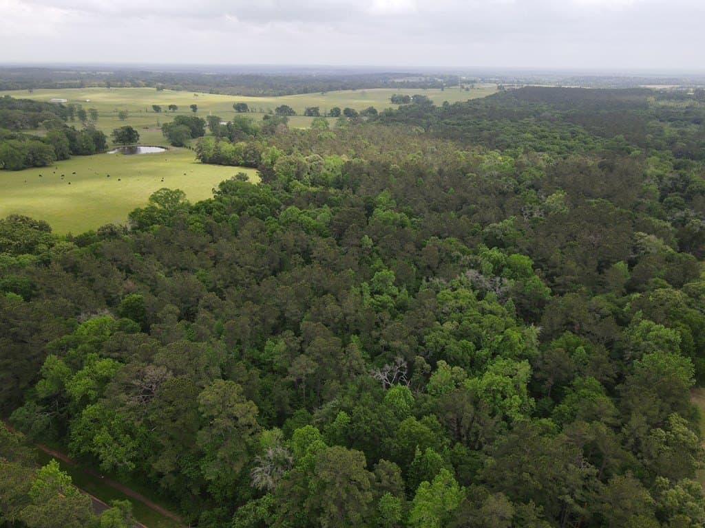 161.49 acres in Texas County - photo 13