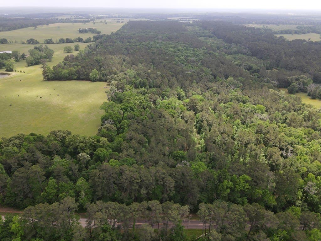 161.49 acres in Texas County - photo 9