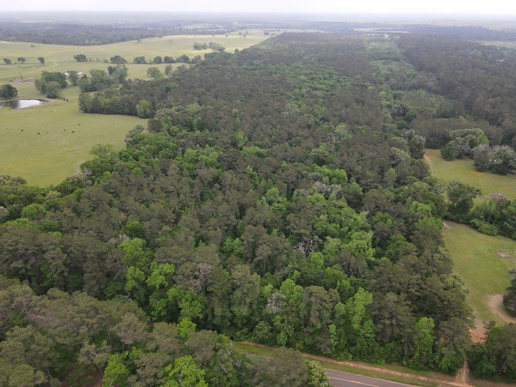 161.49 acres in Texas County - photo 10