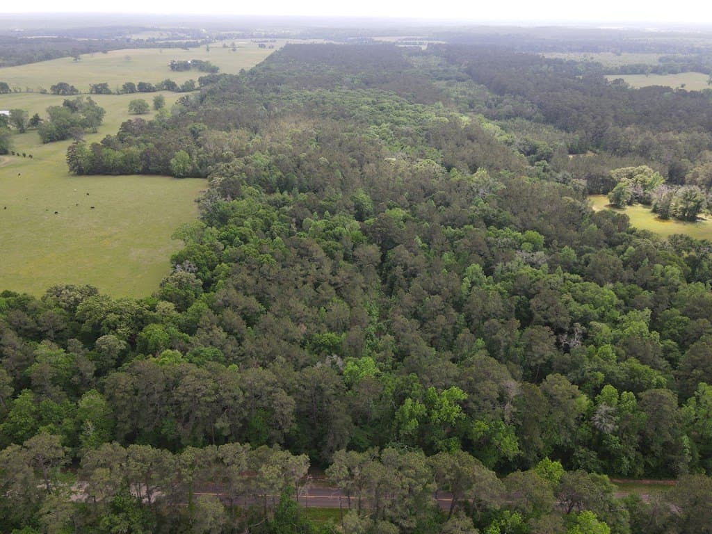 161.49 acres in Texas County - photo 8