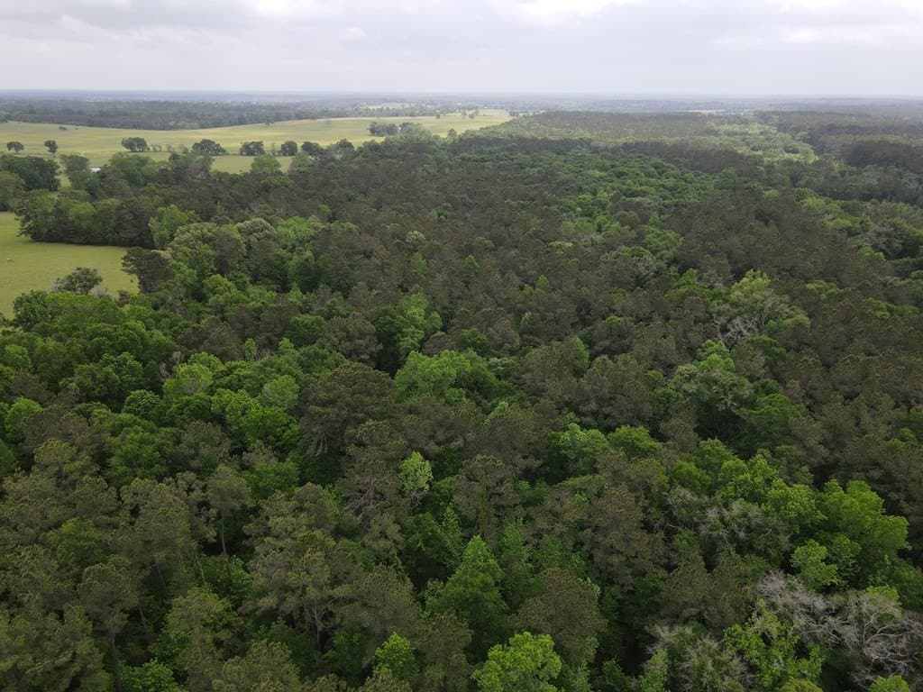 161.49 acres in Texas County - photo 16