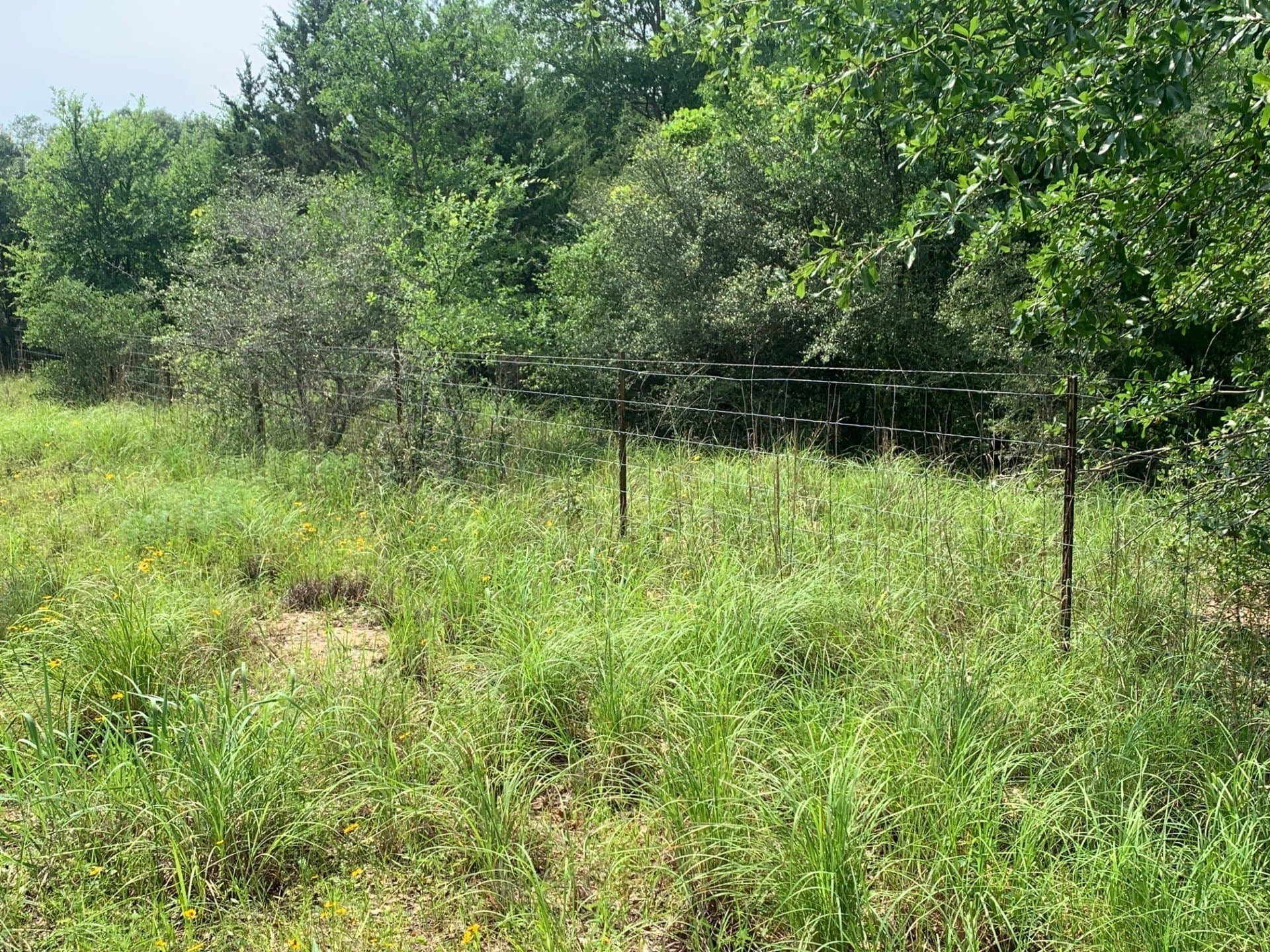 11.32 acres in Freestone County featured view