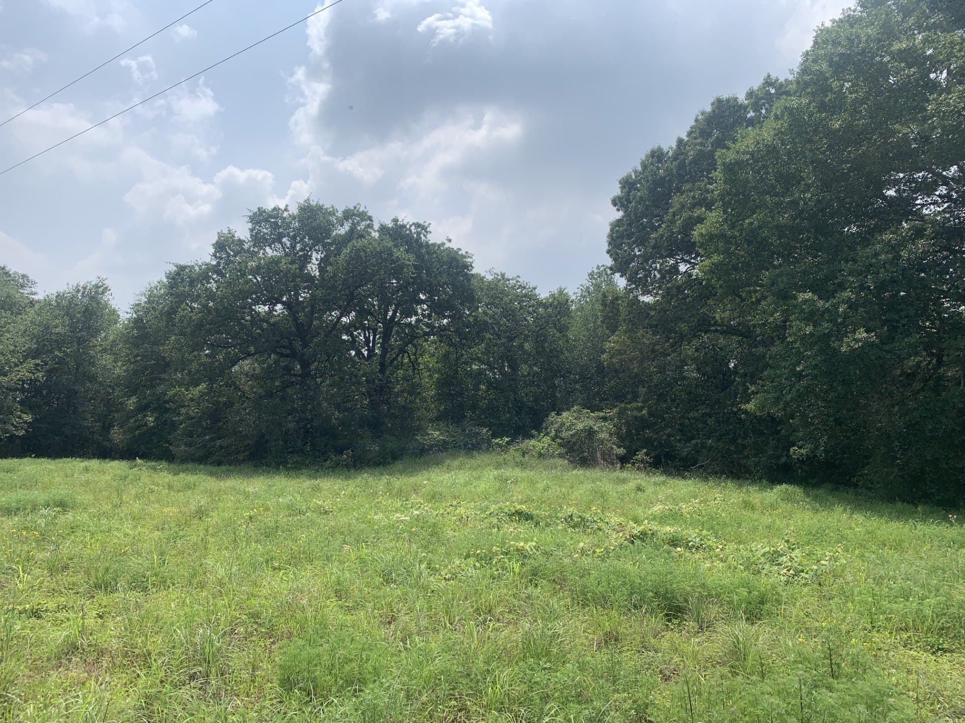 11.32 acres in Freestone County gallery image 4