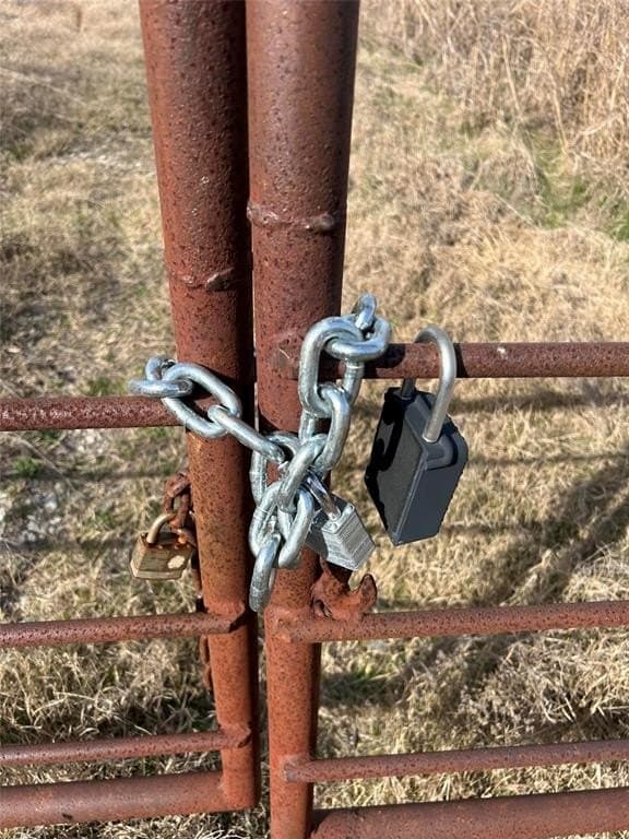 10 acres in Rains County gallery image 2