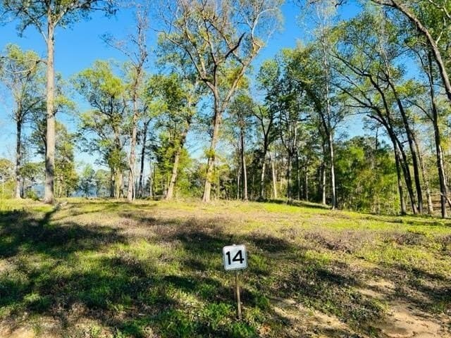 4.35 acres in Texas County - photo 7