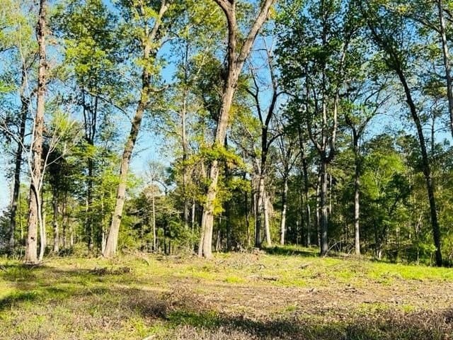 4.35 acres in Texas County - photo 6
