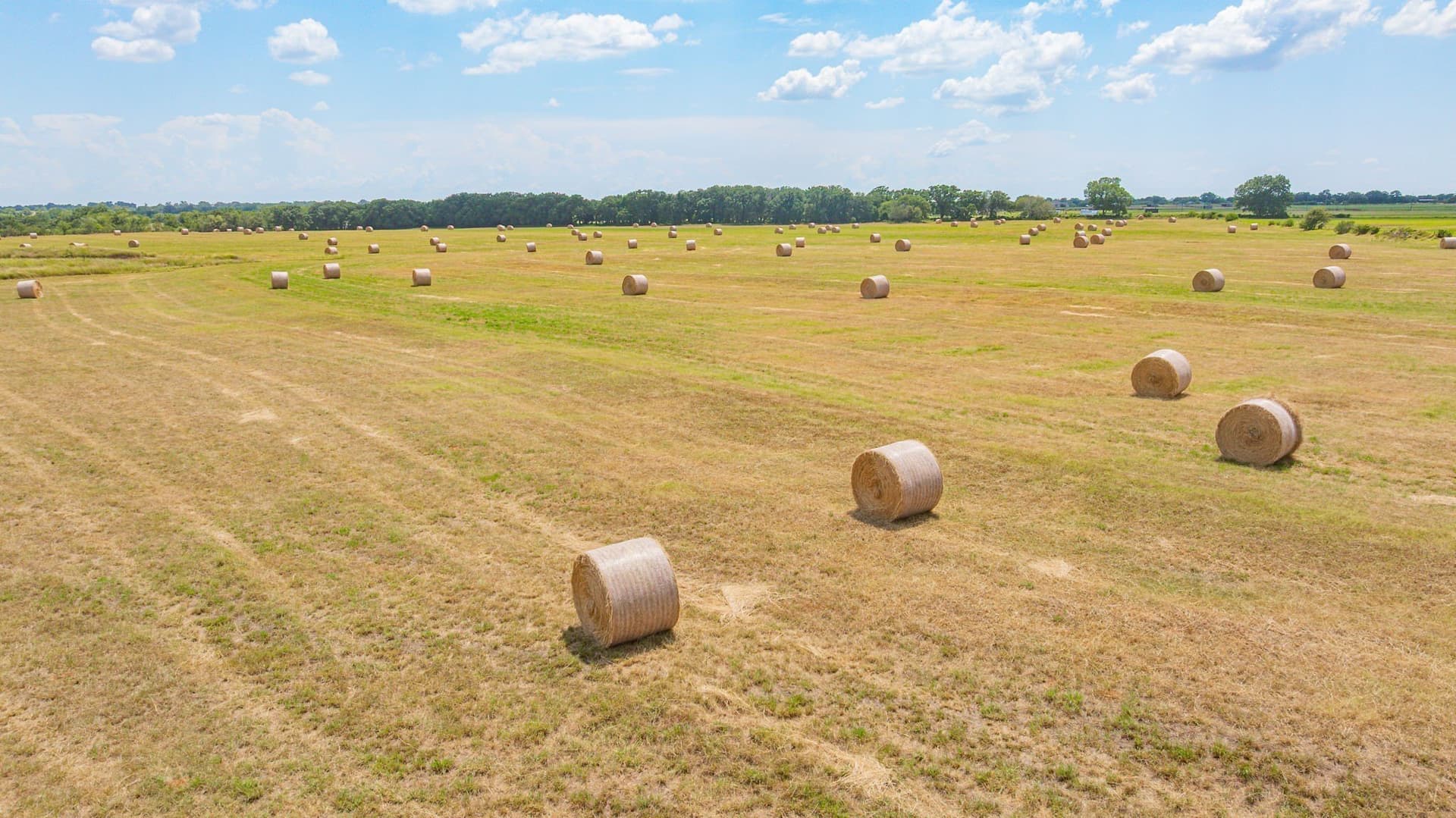 49.34 acres in Erath County - photo 20