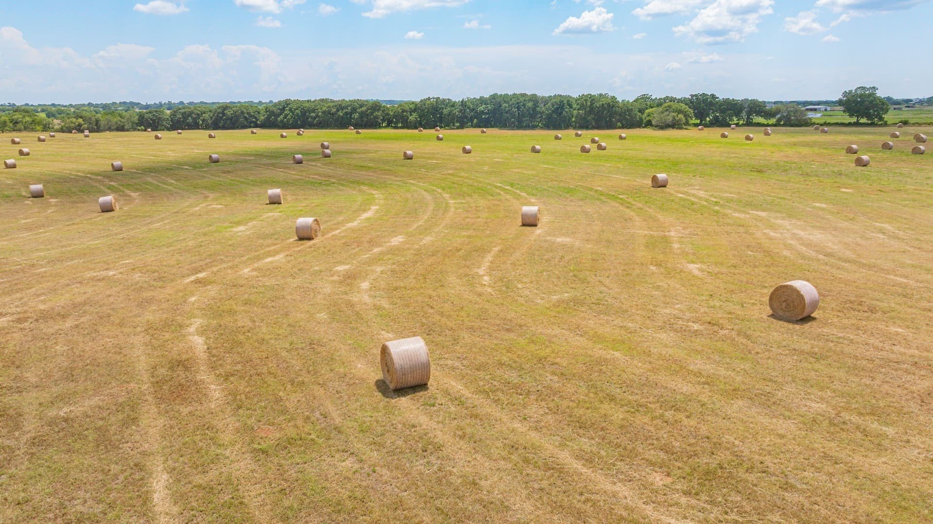 49.34 acres in Erath County - photo 19