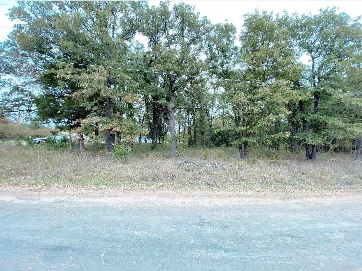 0.15 acres in Henderson County gallery image 2