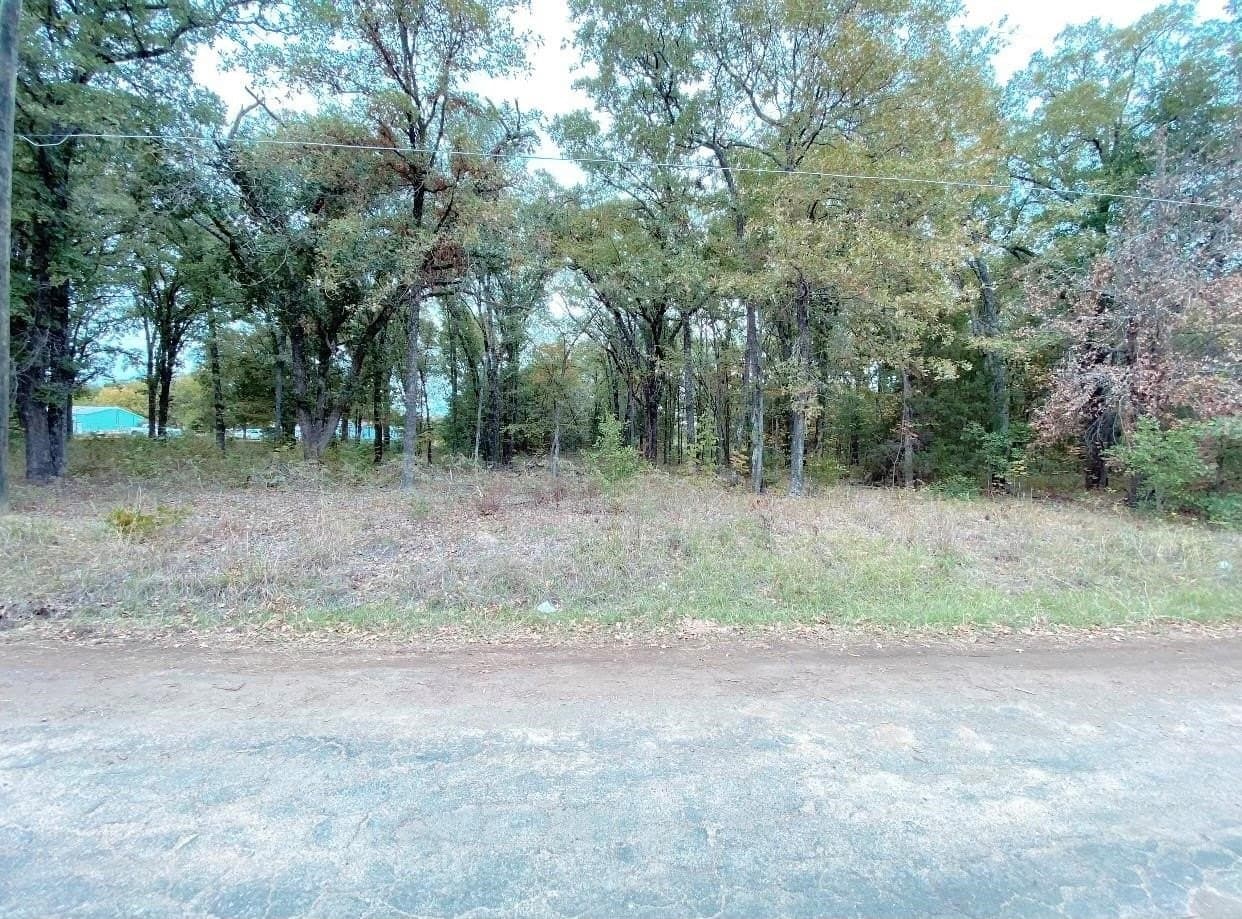 0.15 acres in Henderson County gallery image 4