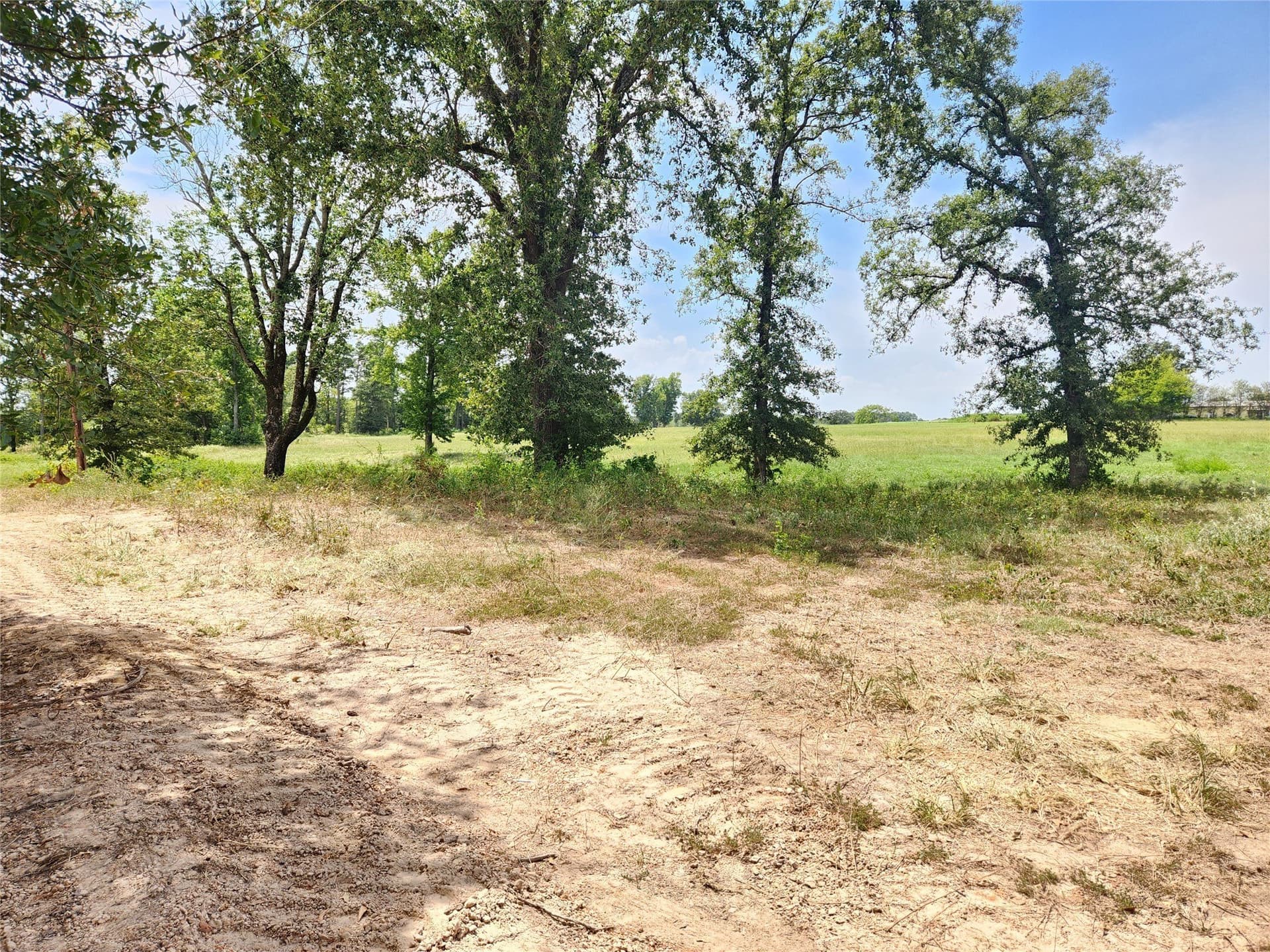 4.37 acres in Titus County - photo 2