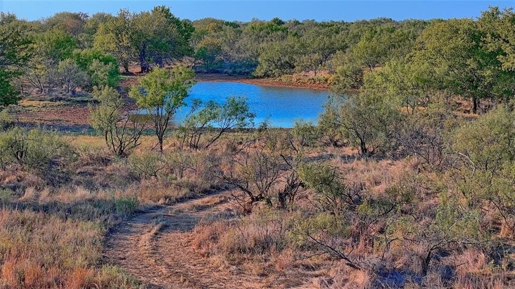62.21 acres in Montague County