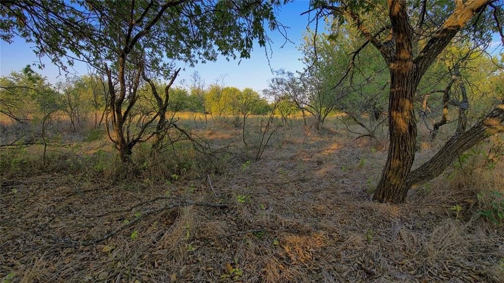 62.21 acres in Montague County gallery image 2
