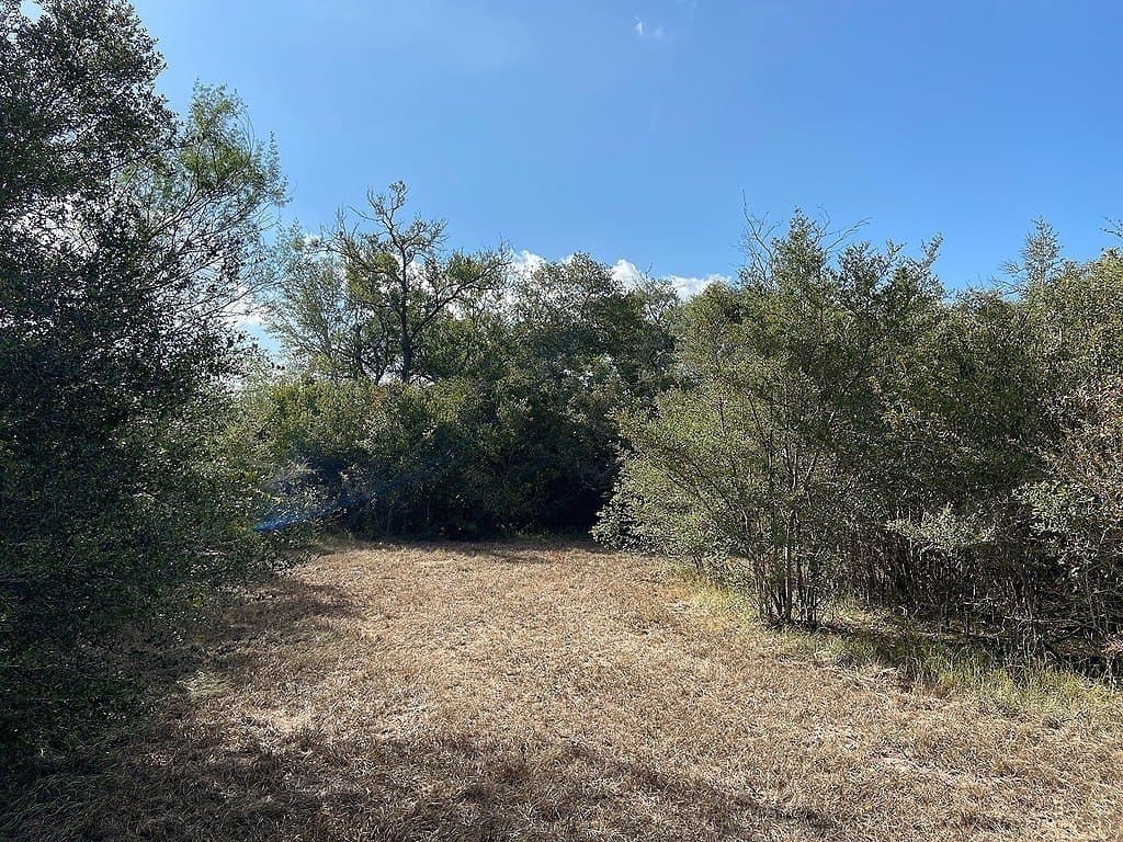 33.87 acres in Colorado County - photo 10
