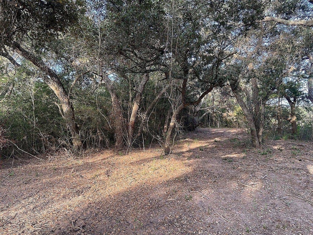 33.87 acres in Colorado County - photo 12