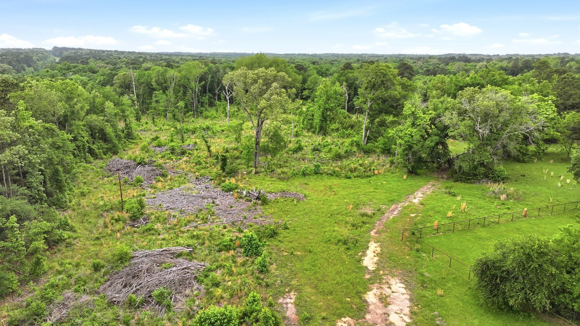 25 acres in Gregg County - photo 6