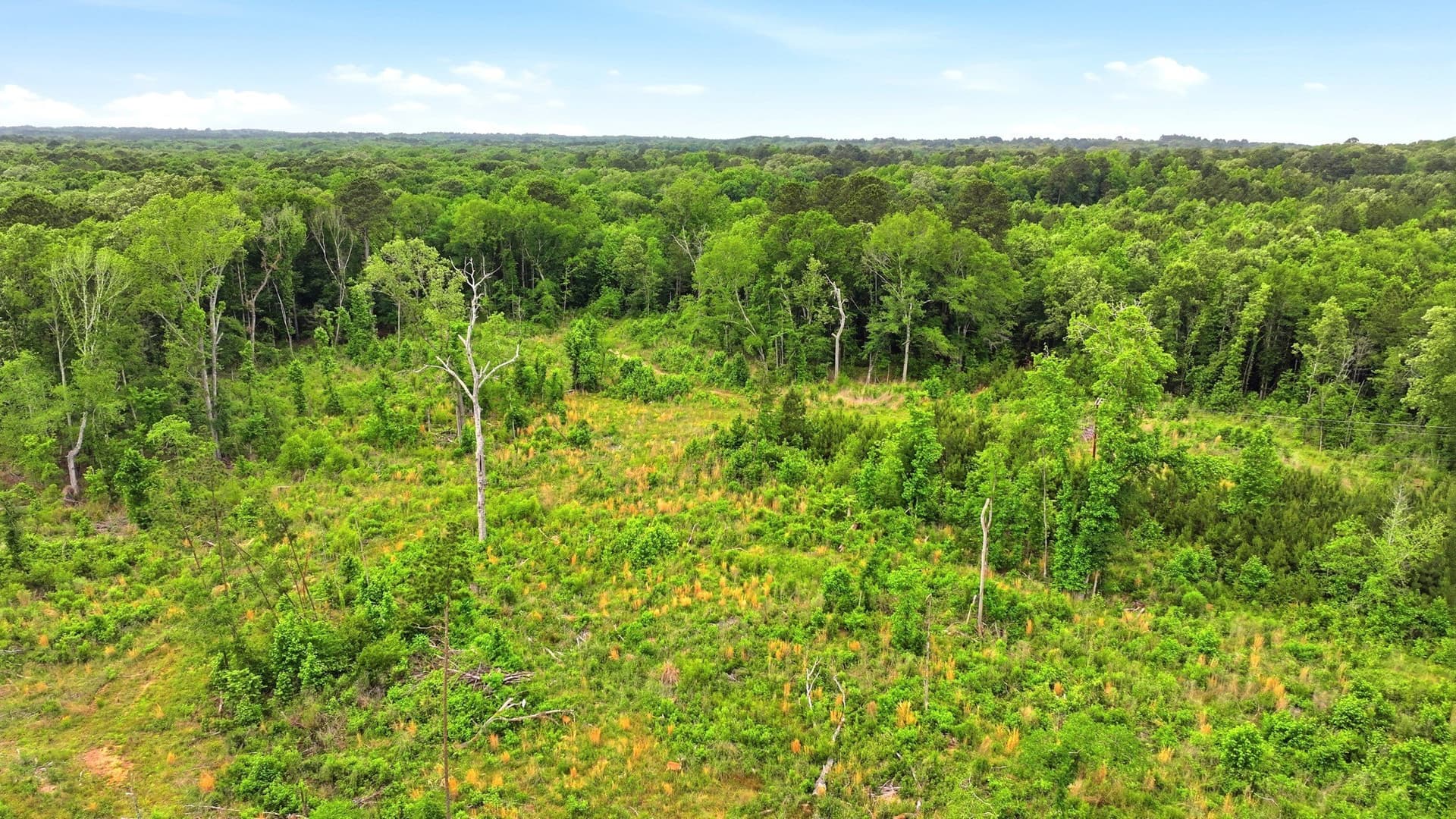 25 acres in Gregg County - photo 7