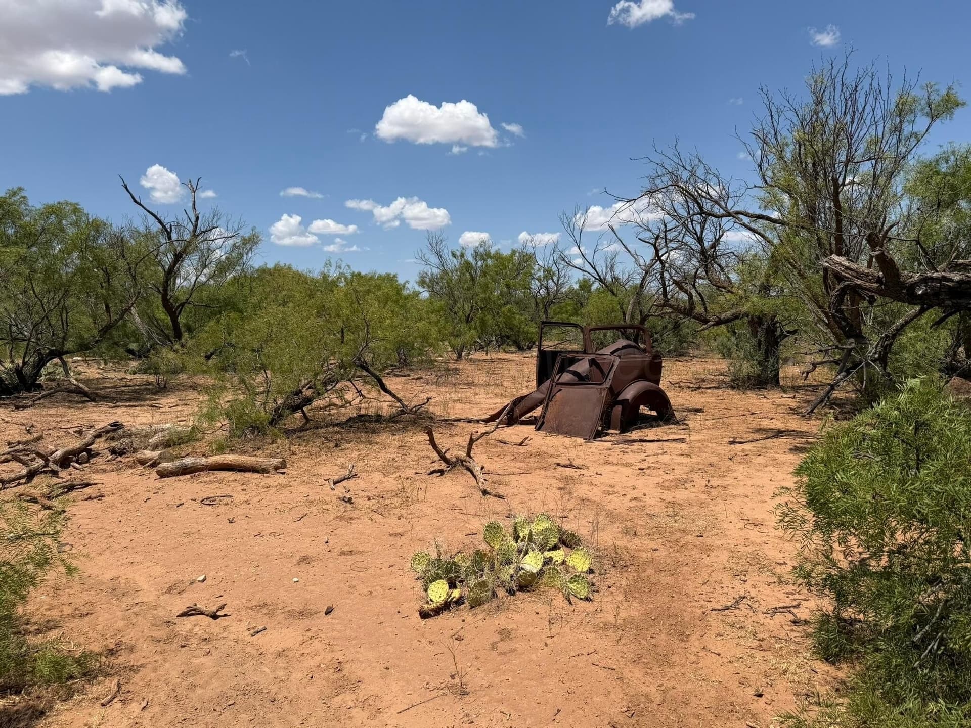 505 acres in Childress County - photo 41