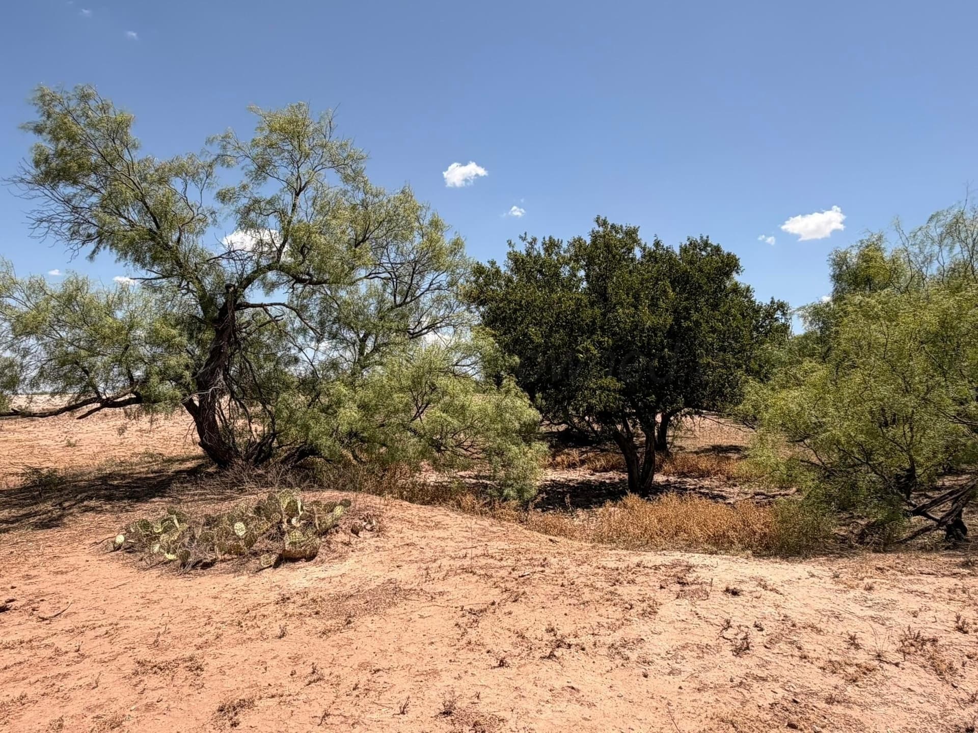 505 acres in Childress County - photo 45