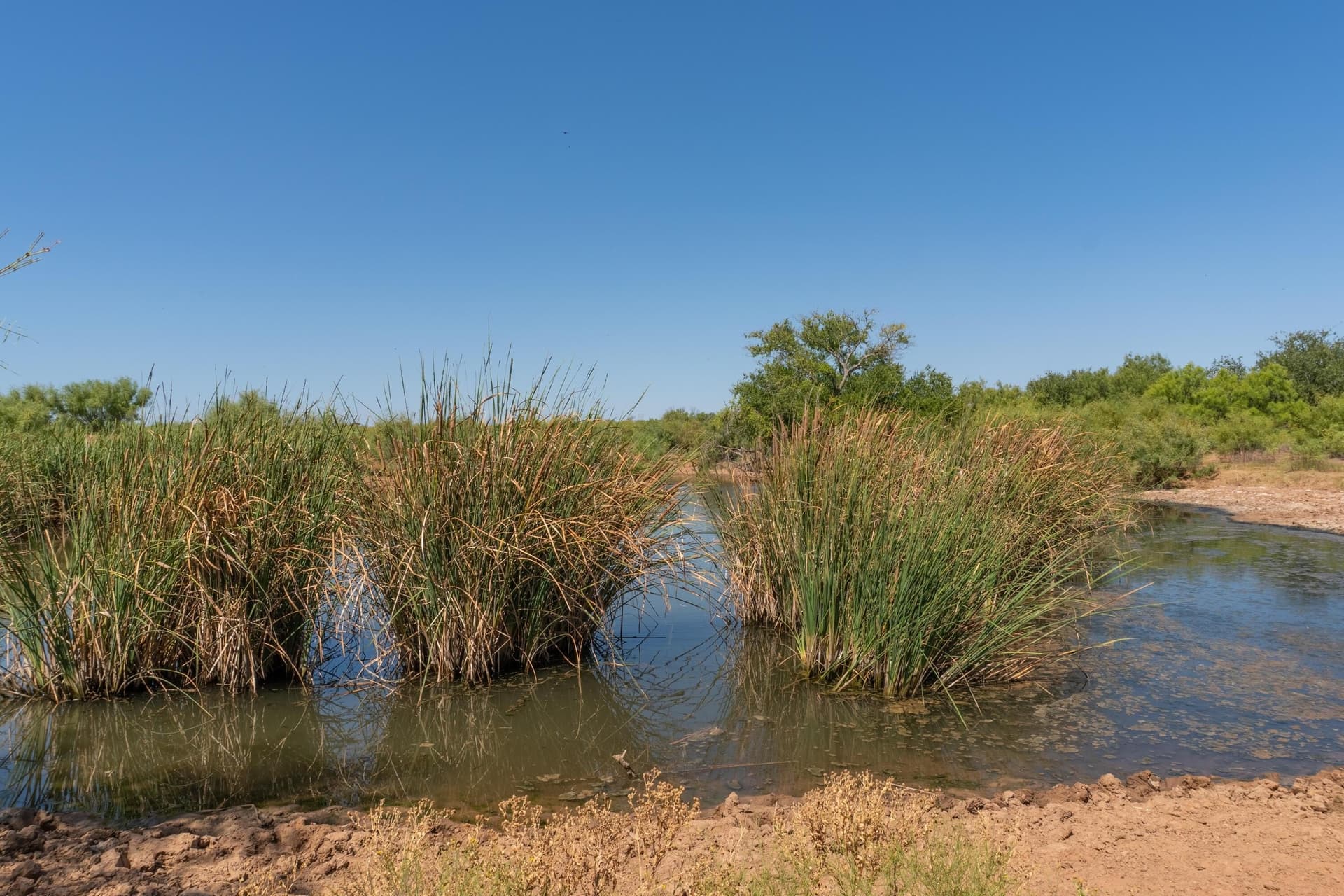 505 acres in Childress County - photo 33