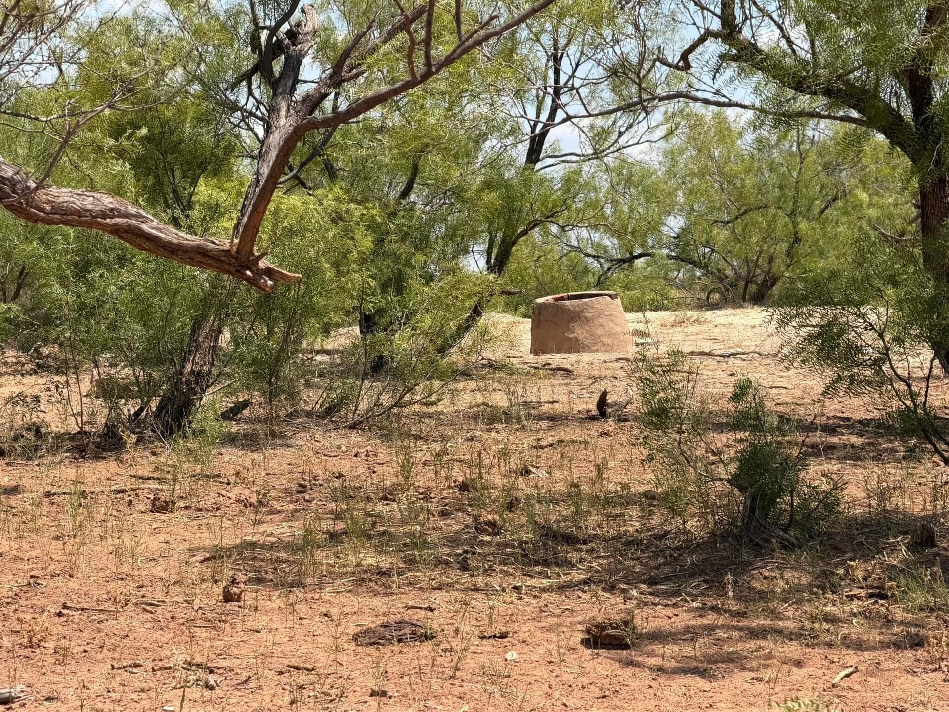 505 acres in Childress County - photo 42