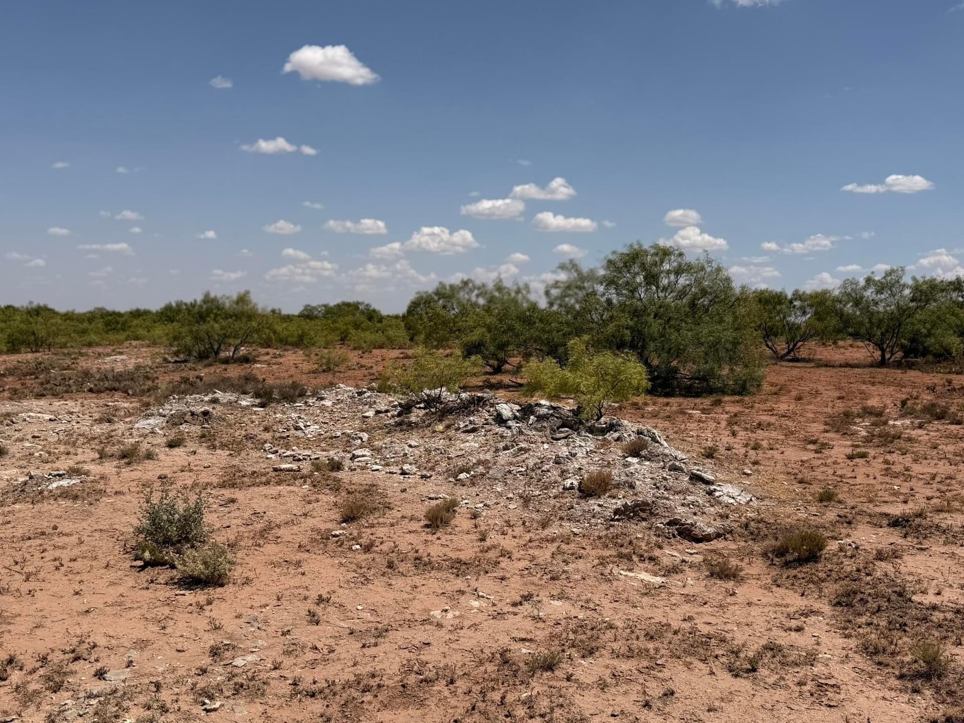 505 acres in Childress County - photo 44