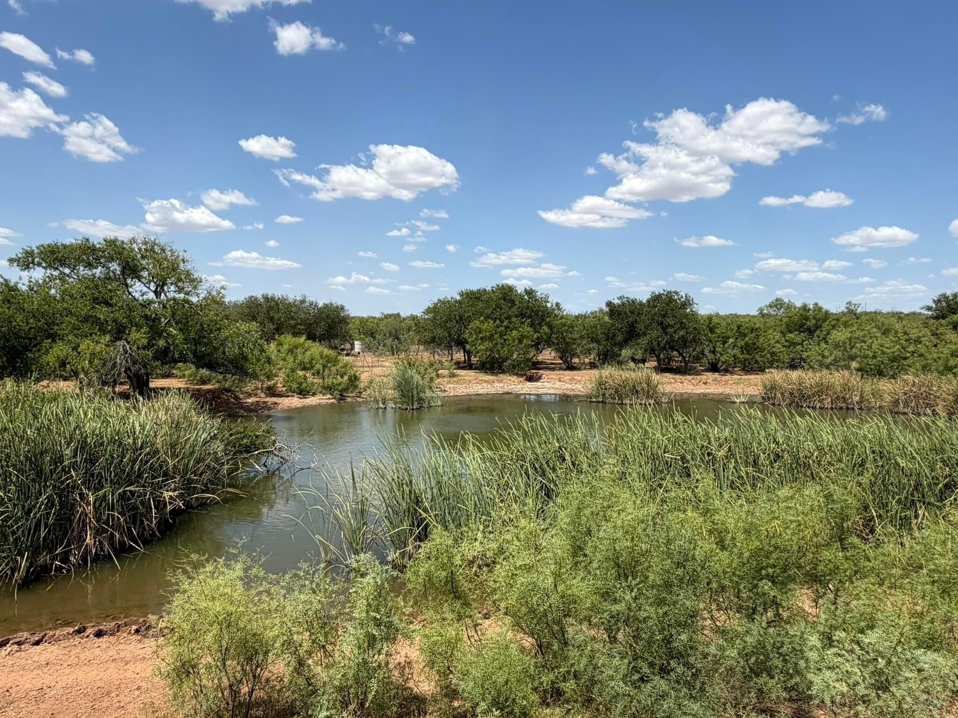 505 acres in Childress County - photo 28