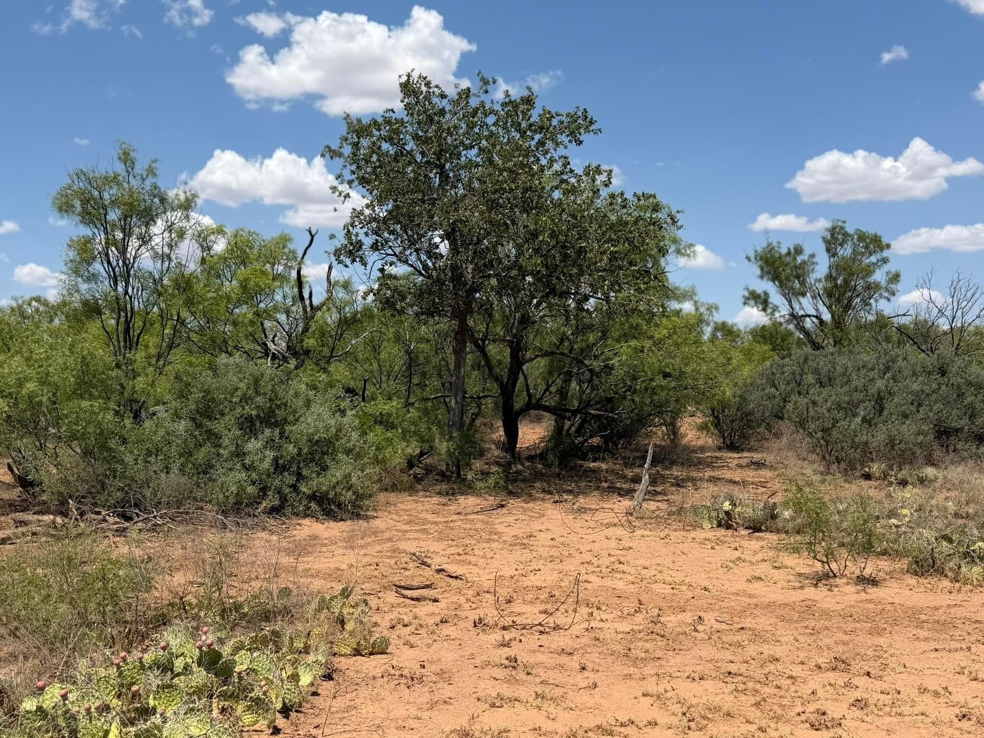 505 acres in Childress County - photo 43